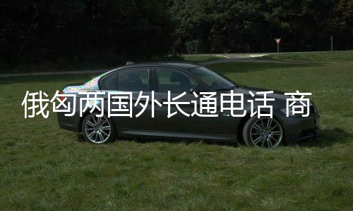 俄匈两国外长通电话 商量双方议程及世界和区域问题-PC28