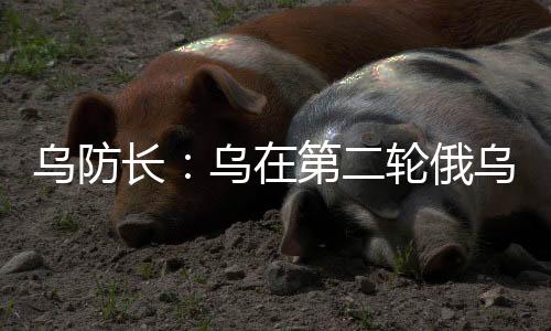 乌防长:乌在第二轮俄乌商洽中再提停火30天-加拿大28预测