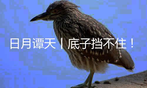 日月谭天丨底子挡不住!大陆文明产品风行台湾-PC28