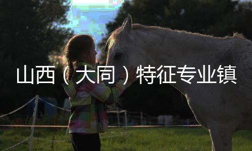 山西(大同)特征专业镇出资交易博览会准备工作进展顺畅-PC28预测