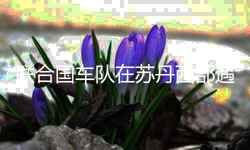 联合国车队在苏丹西部遇袭 形成多人伤亡-PC28预测